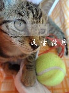 民生信用卡逾期停卡怎么恢复使用 民生信用卡逾期停卡怎么恢复使用