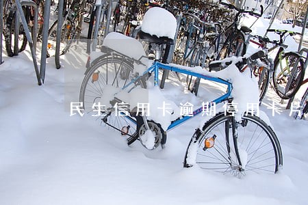 民生信用卡逾期停用卡片