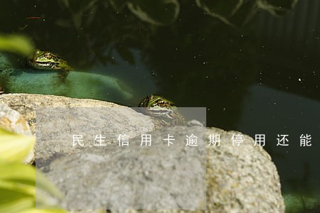 民生信用卡逾期停用还能恢复吗