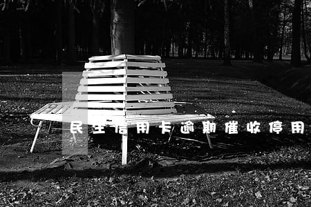 民生信用卡逾期催收停用 民生信用卡逾期催收停用
