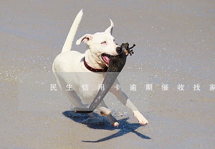 民生信用卡逾期催收找家人 民生信用卡逾期催收找家人