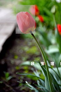 民生信用卡逾期全额 民生信用卡逾期全额