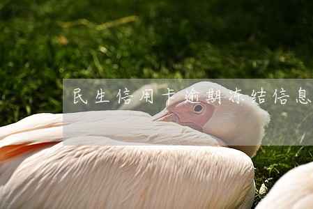 民生信用卡逾期冻结信息 民生信用卡逾期冻结信息