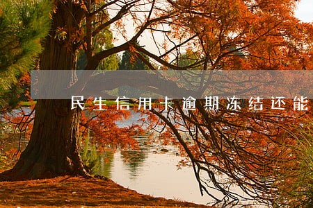 民生信用卡逾期冻结还能恢复吗