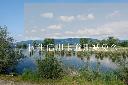 民生信用卡逾期减免么 民生信用卡逾期减免么