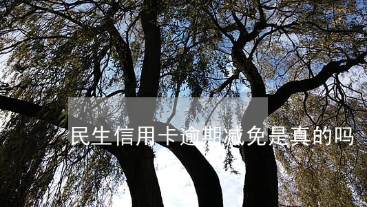 民生信用卡逾期减免是真的吗 民生信用卡逾期减免是真的吗