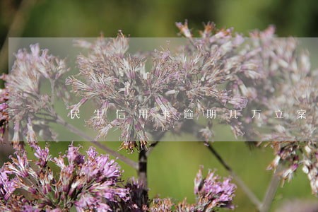 民生信用卡逾期几万立案 民生信用卡逾期几万立案