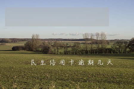 民生信用卡逾期几天 民生信用卡逾期几天