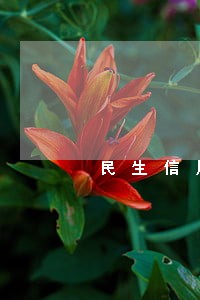 民生信用卡逾期几天会上门 民生信用卡逾期几天会上门