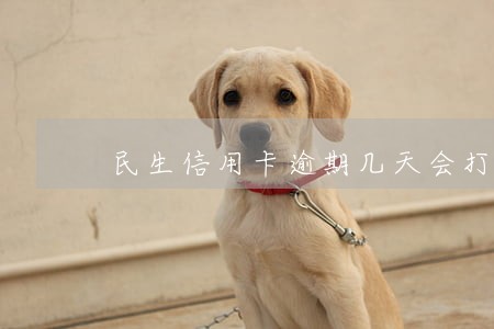 民生信用卡逾期几天会打电话