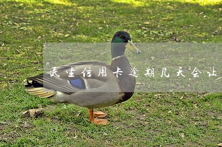 民生信用卡逾期几天会让还全额 民生信用卡逾期几天会让还全额