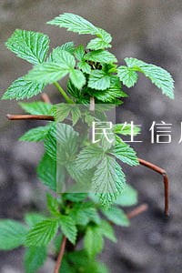 民生信用卡逾期几天爆通讯录