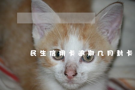 民生信用卡逾期几月封卡 民生信用卡逾期几月封卡