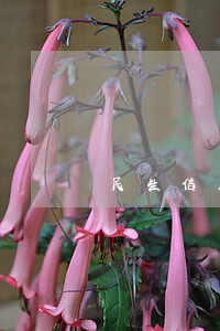 民生信用卡逾期几次会被降额 民生信用卡逾期几次会被降额