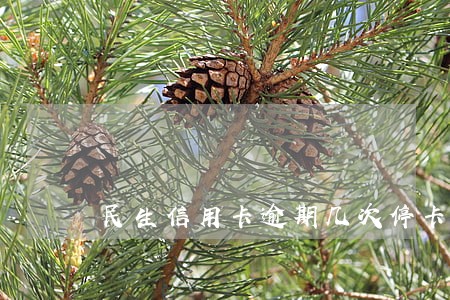民生信用卡逾期几次停卡