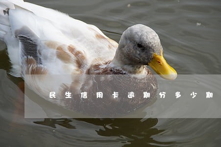民生信用卡逾期分多少期合适