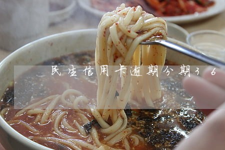 民生信用卡逾期分期36个月 民生信用卡逾期分期36个月
