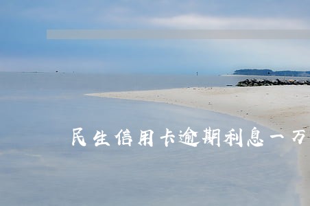 民生信用卡逾期利息一万多 民生信用卡逾期利息一万多