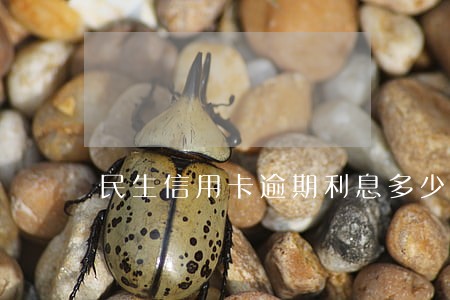 民生信用卡逾期利息多少钱