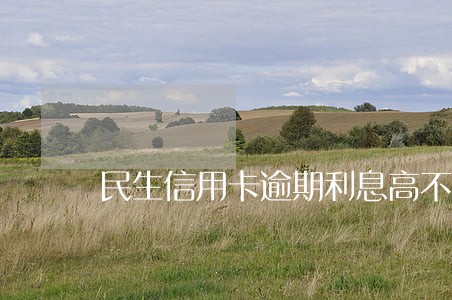 民生信用卡逾期利息高不高