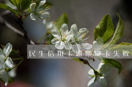 民生信用卡逾期刷卡失败 民生信用卡逾期刷卡失败