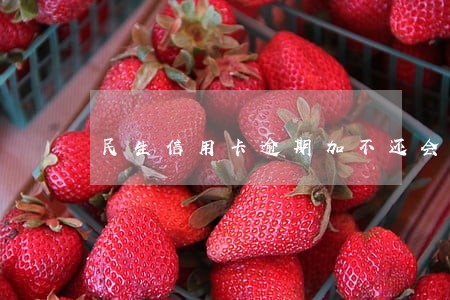 民生信用卡逾期加不还会怎样 民生信用卡逾期加不还会怎样