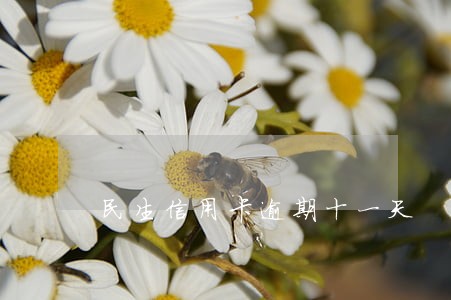 民生信用卡逾期十一天