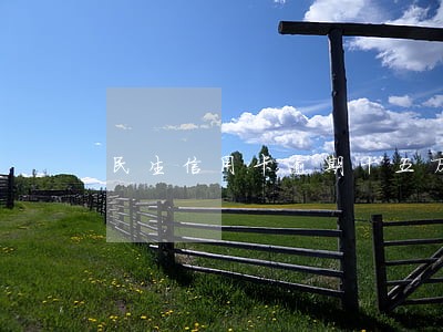 民生信用卡逾期十五万