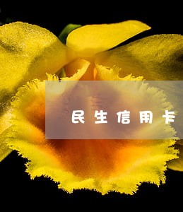 民生信用卡逾期十天了 民生信用卡逾期十天了