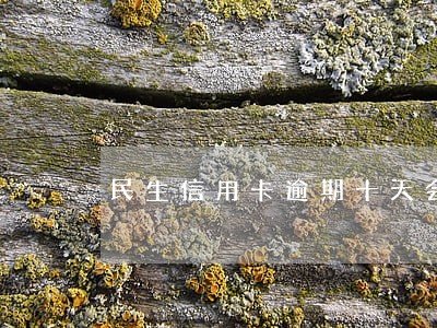 民生信用卡逾期十天会上门吗 民生信用卡逾期十天会上门吗