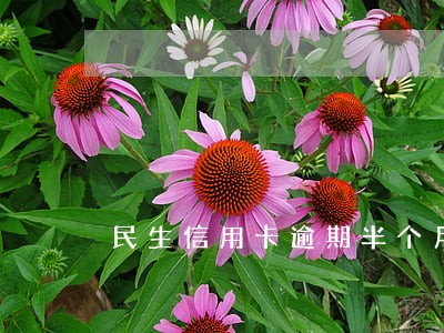 民生信用卡逾期半个月会封卡吗 民生信用卡逾期半个月会封卡吗