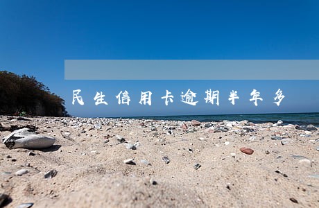 民生信用卡逾期半年多