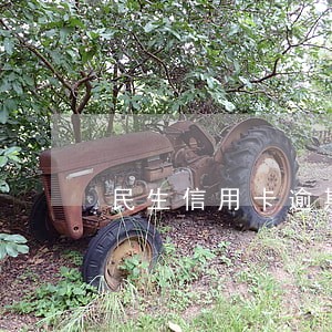 民生信用卡逾期半年没还 民生信用卡逾期半年没还