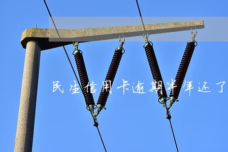 民生信用卡逾期半年还了怎么办 民生信用卡逾期半年还了怎么办