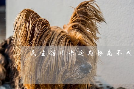 民生信用卡逾期协商不成要立案