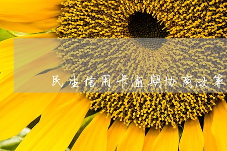 民生信用卡逾期协商政策 民生信用卡逾期协商政策