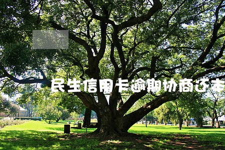 民生信用卡逾期协商还本金