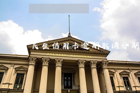 民生信用卡逾期取消分期