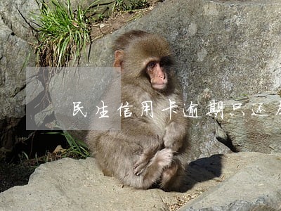 民生信用卡逾期只还本金 民生信用卡逾期只还本金