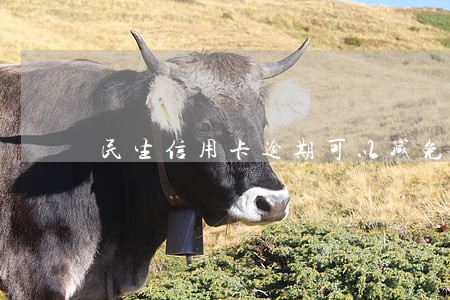 民生信用卡逾期可以减免利息吗 民生信用卡逾期可以减免利息吗