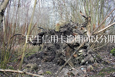 民生信用卡逾期可以分期吗 民生信用卡逾期可以分期吗