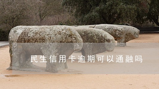 民生信用卡逾期可以通融吗 民生信用卡逾期可以通融吗