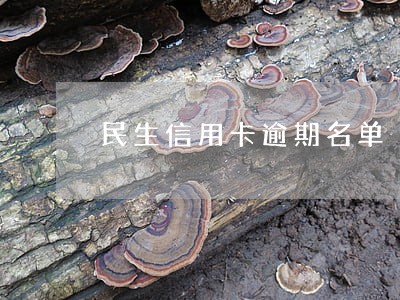 民生信用卡逾期名单 民生信用卡逾期名单