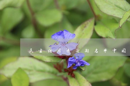 民生信用卡逾期名单中国 民生信用卡逾期名单中国
