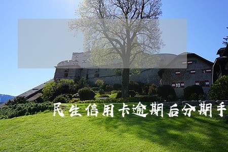 民生信用卡逾期后分期手续费