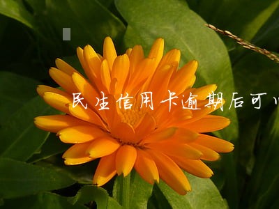 民生信用卡逾期后可以办理分期吗 民生信用卡逾期后可以办理分期吗