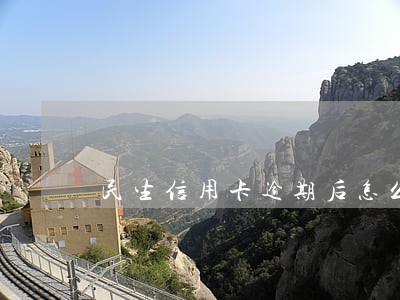 民生信用卡逾期后怎么办 民生信用卡逾期后怎么办