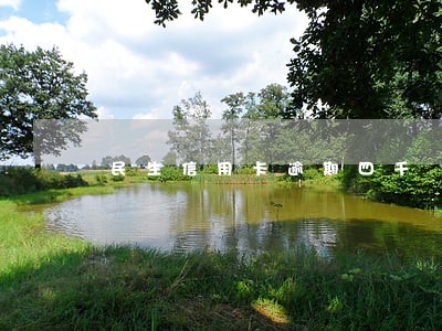 民生信用卡逾期四千 民生信用卡逾期四千