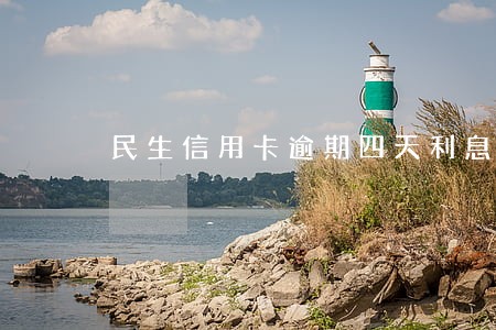 民生信用卡逾期四天利息怎么算