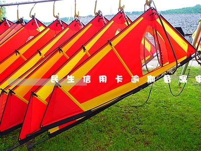 民生信用卡逾期备案审核 民生信用卡逾期备案审核